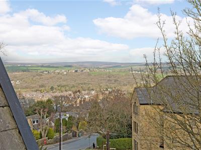 Picture 29